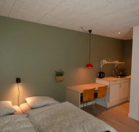 Greenstudio 公寓 *